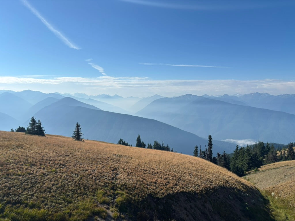 Hurricane Ridge