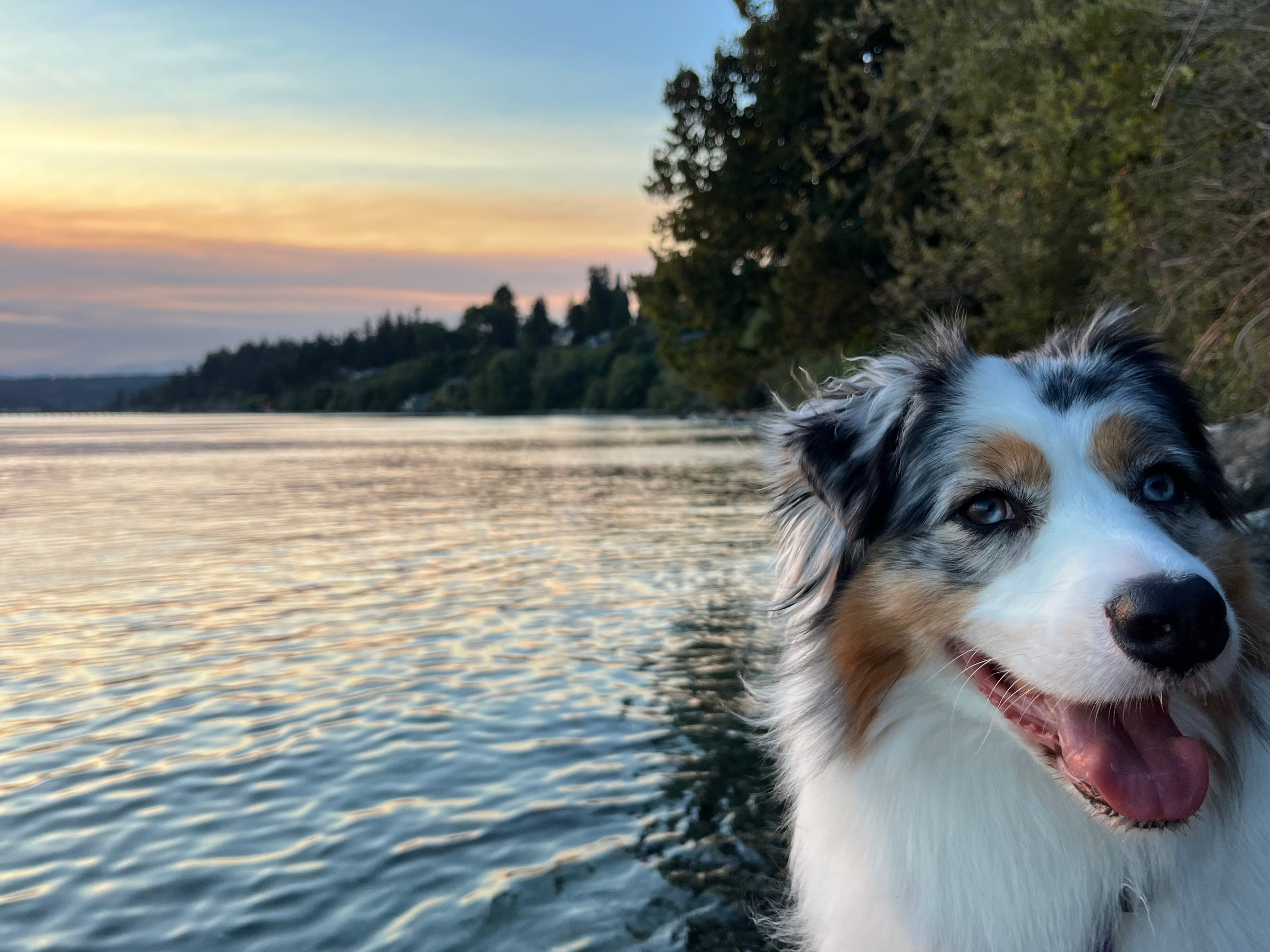 Last days of summer