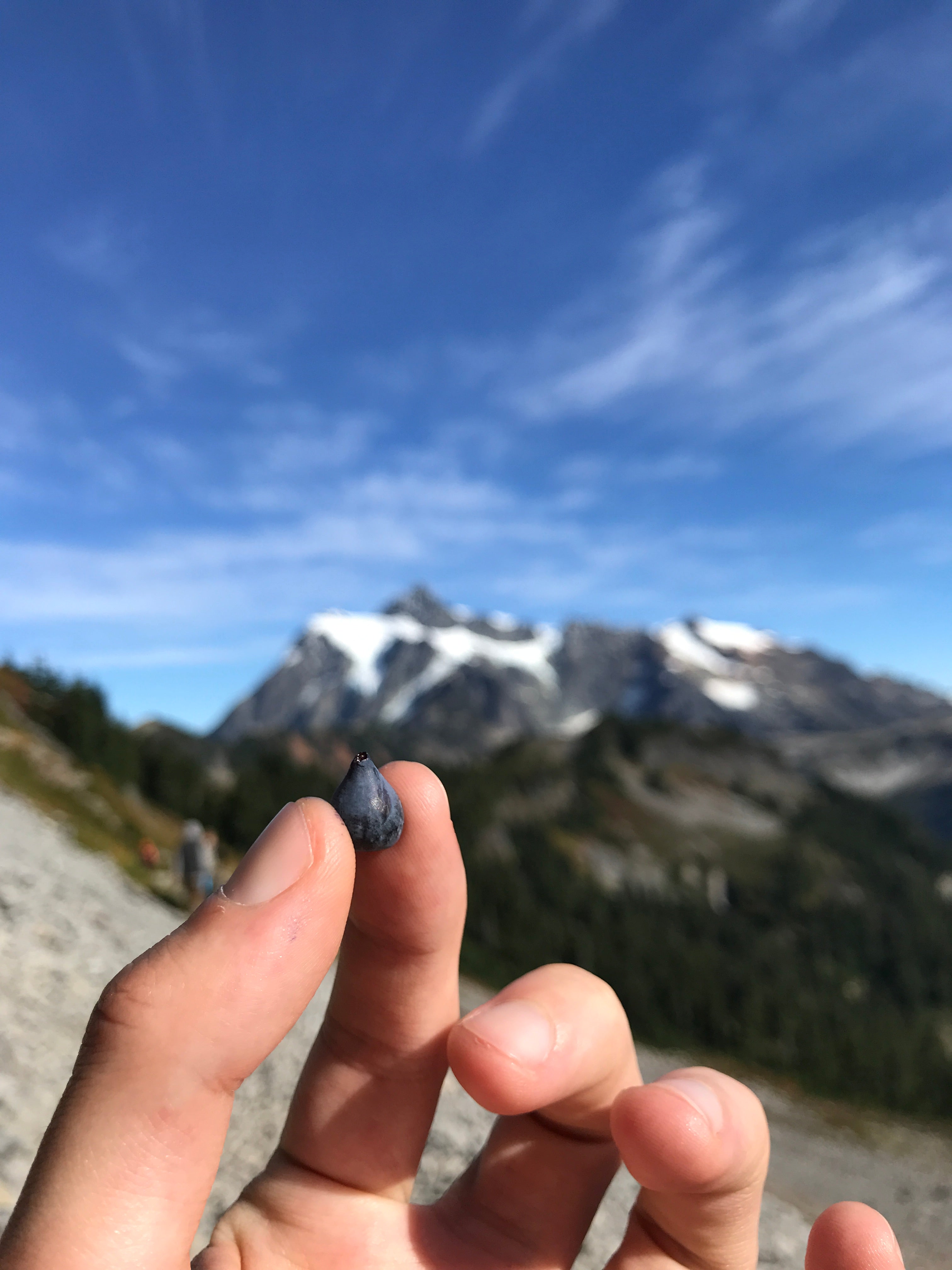 Mt. Baker National Forest