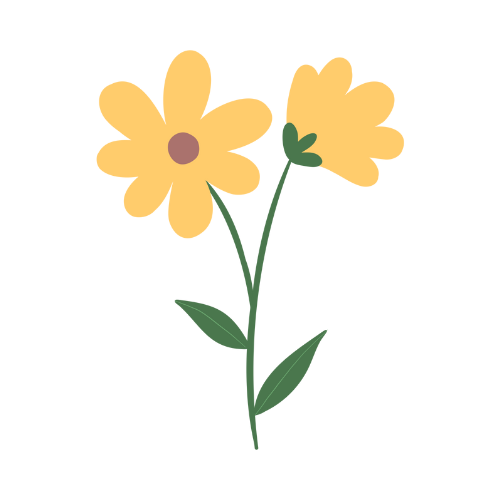 Spring cleaning time!