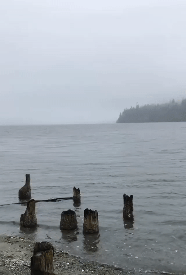 Port Ludlow Bay
