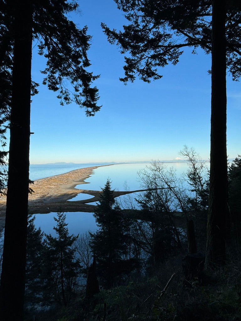 Dungeness Spit