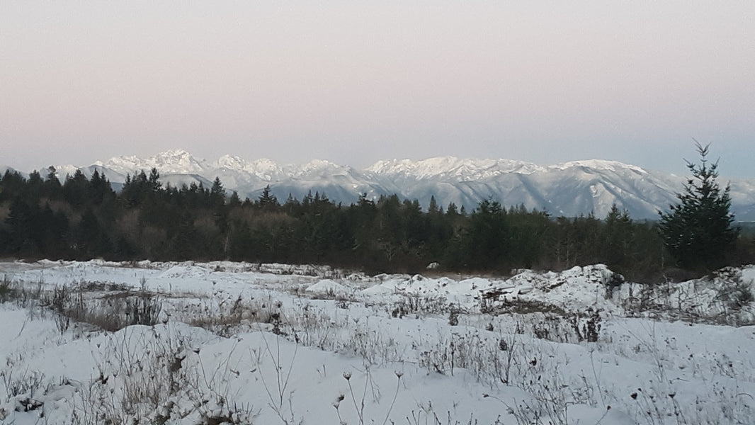 Snow!