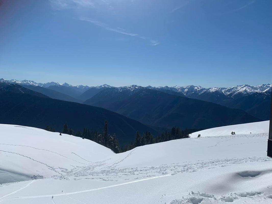 Another sunny weekend