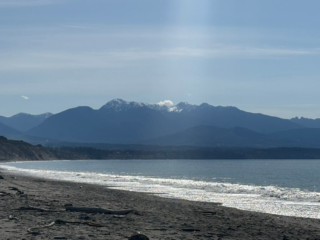 Spring at Dungeness Spit
