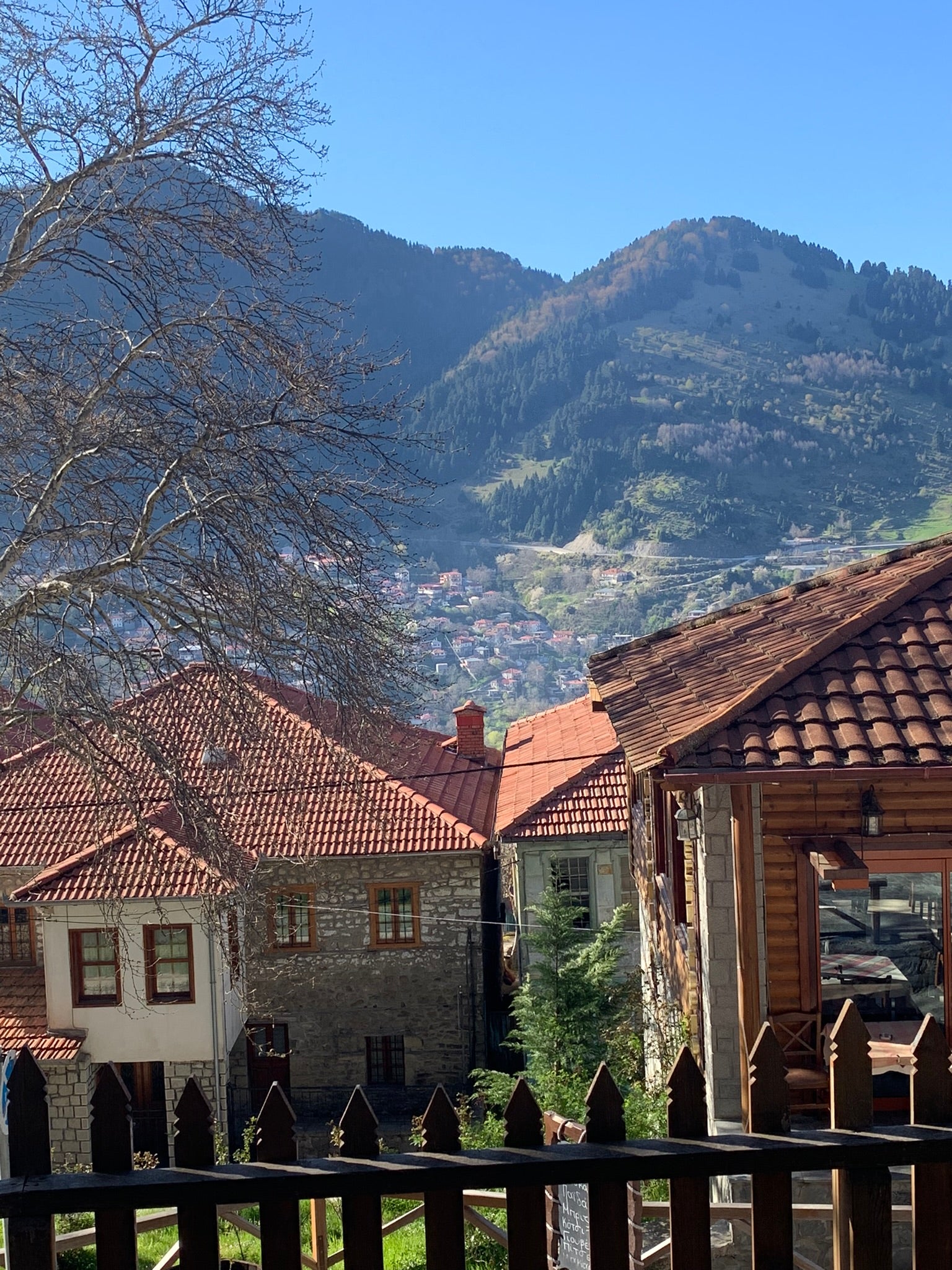 Metsovo, Ioannina and Anthochori