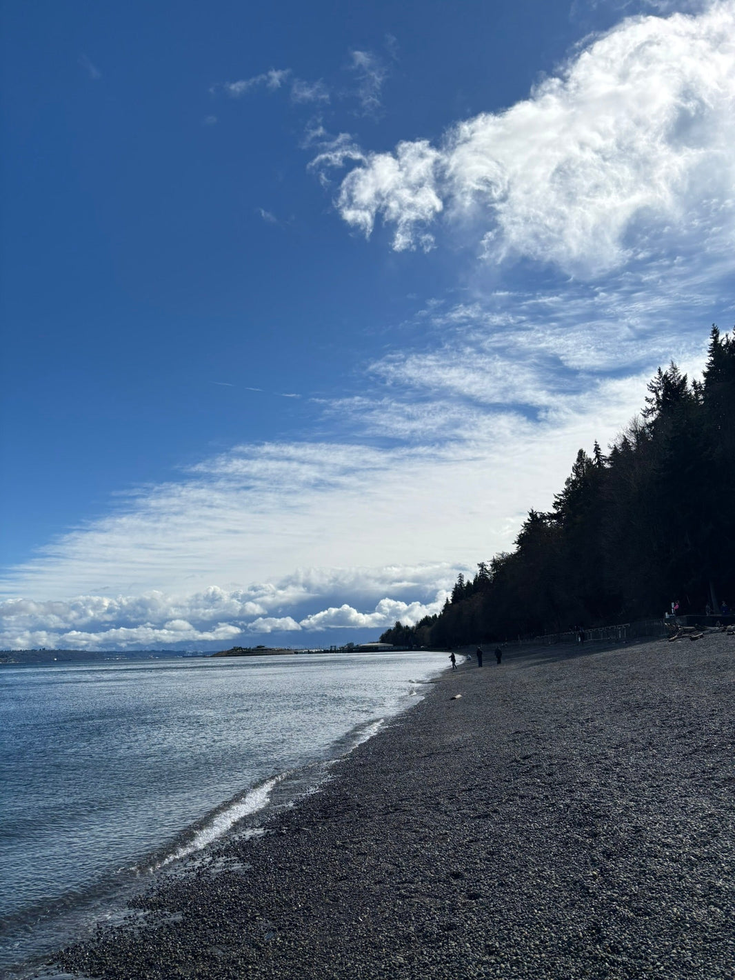 Beach at Point Defiance Park