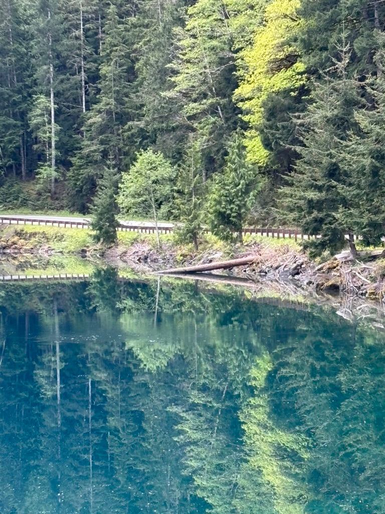 Reflections at Lake Crescent