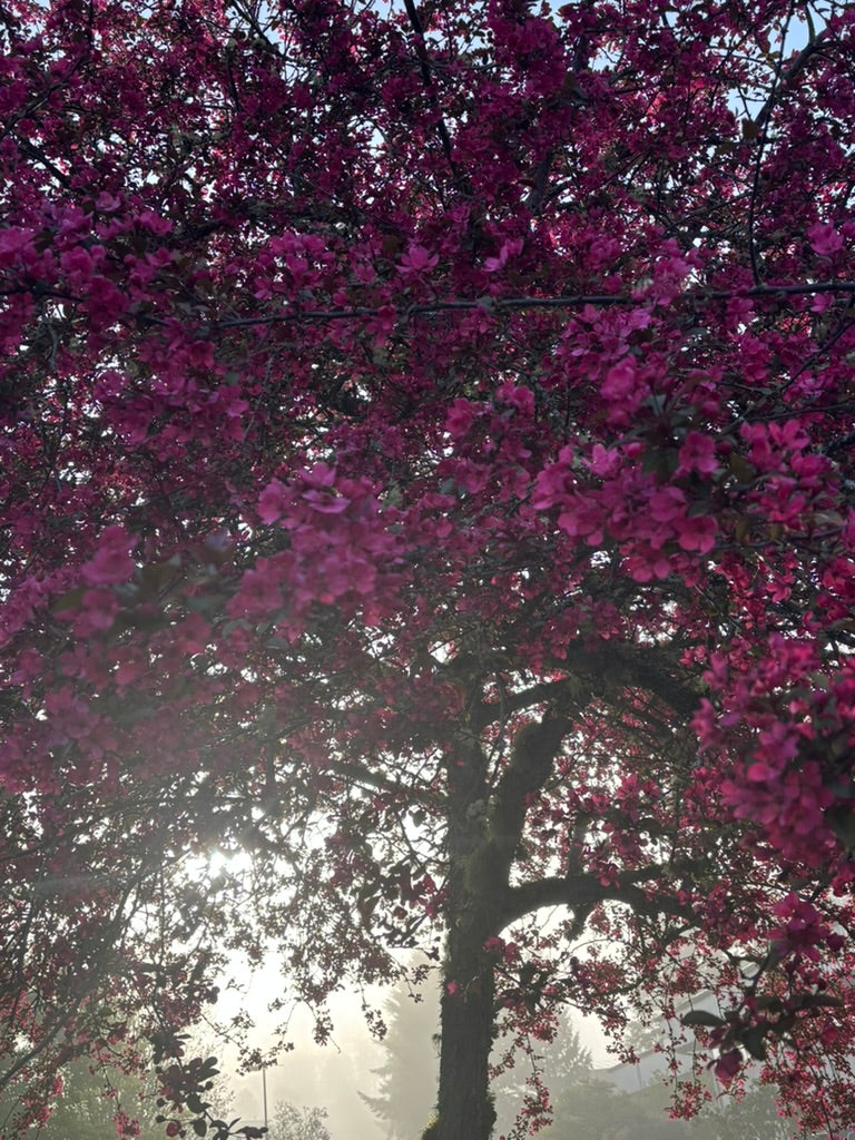On the way to work