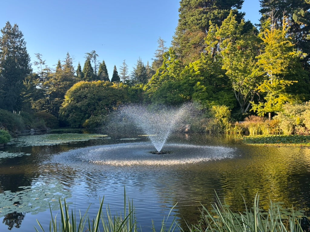 VanDusen Botanical Garden