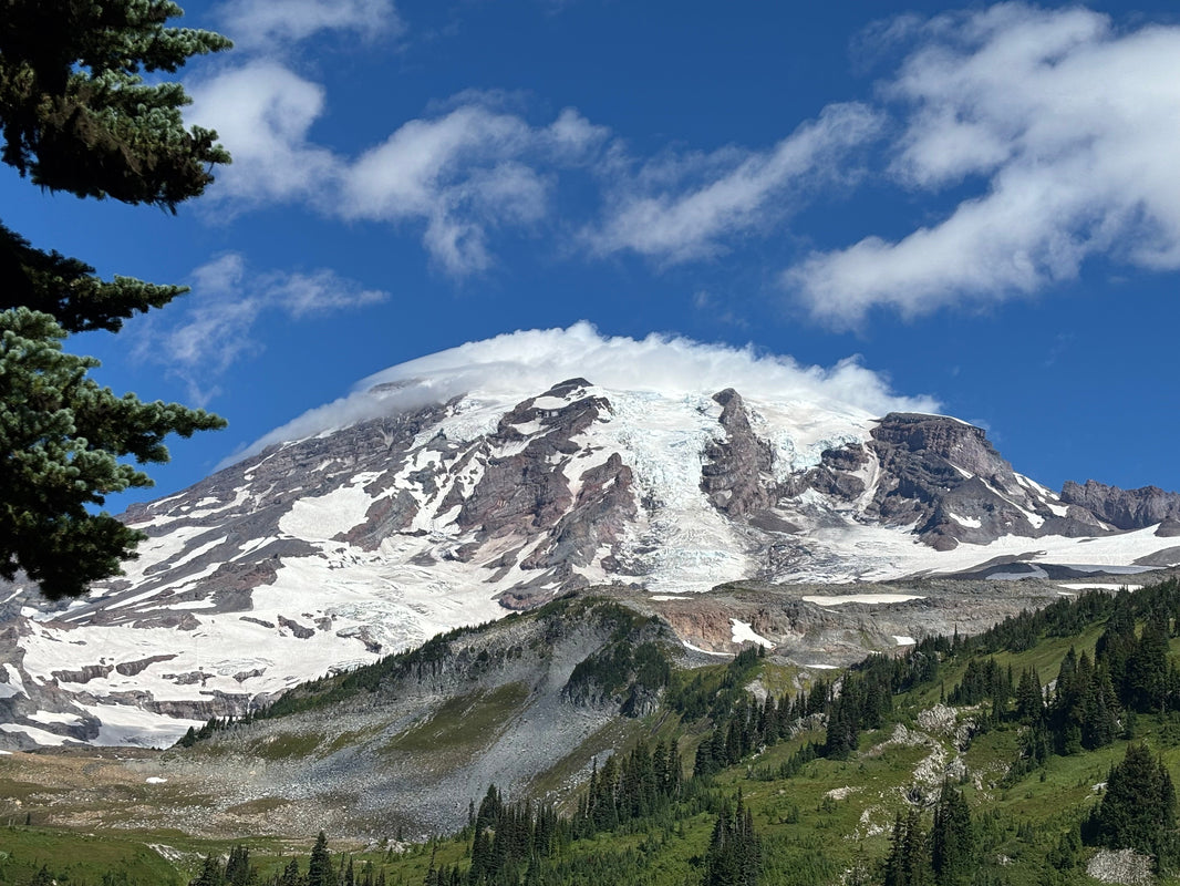 Mt. Rainier