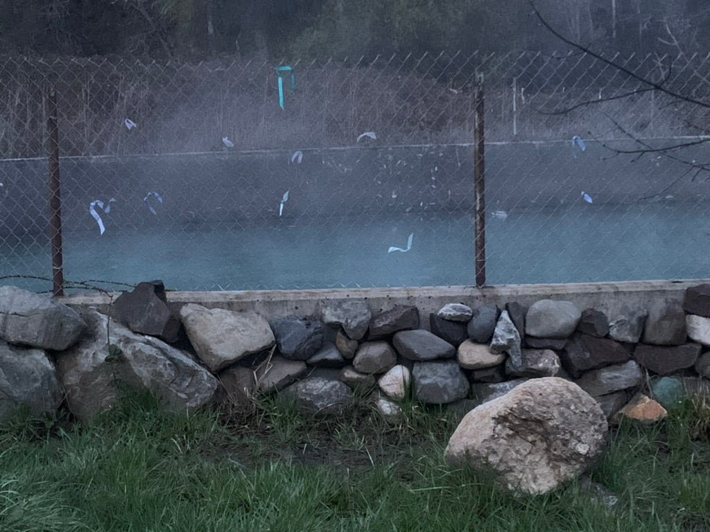Lithia Springs