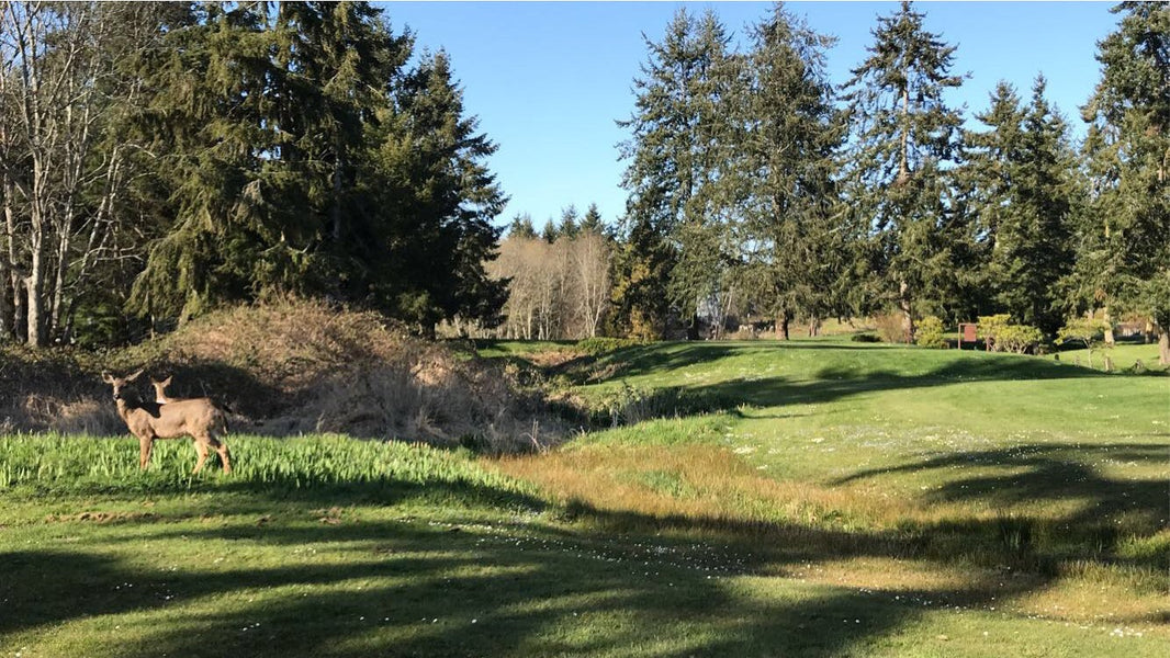 Port Ludlow Golf Course