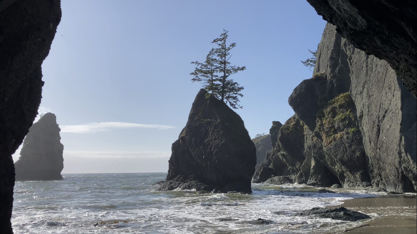 Popup Ferry and Makah Reservation