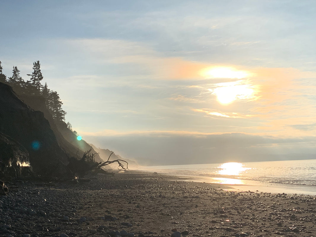 Dungeness Spit (Sequim, WA)