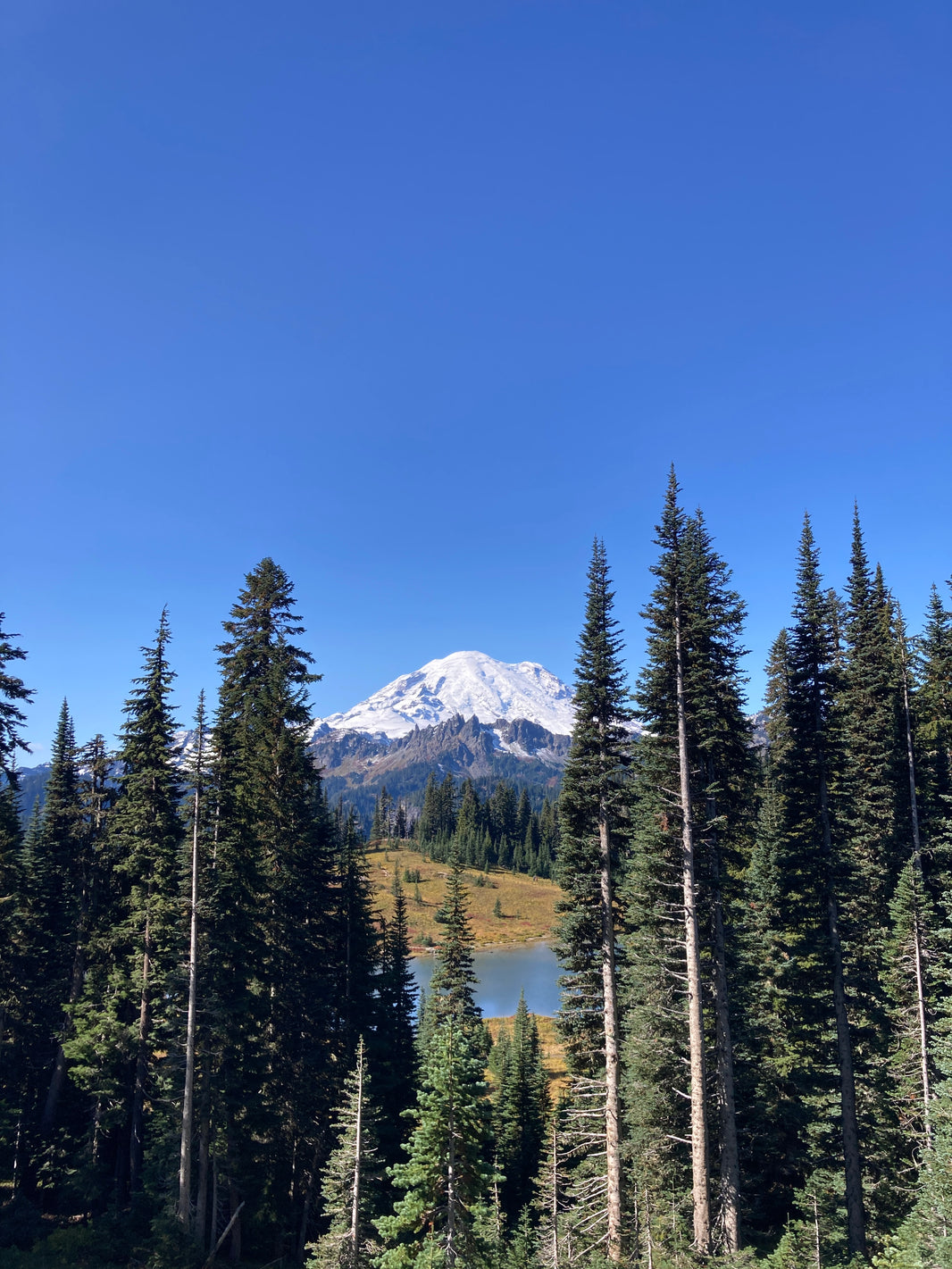Mt. Rainier Loop