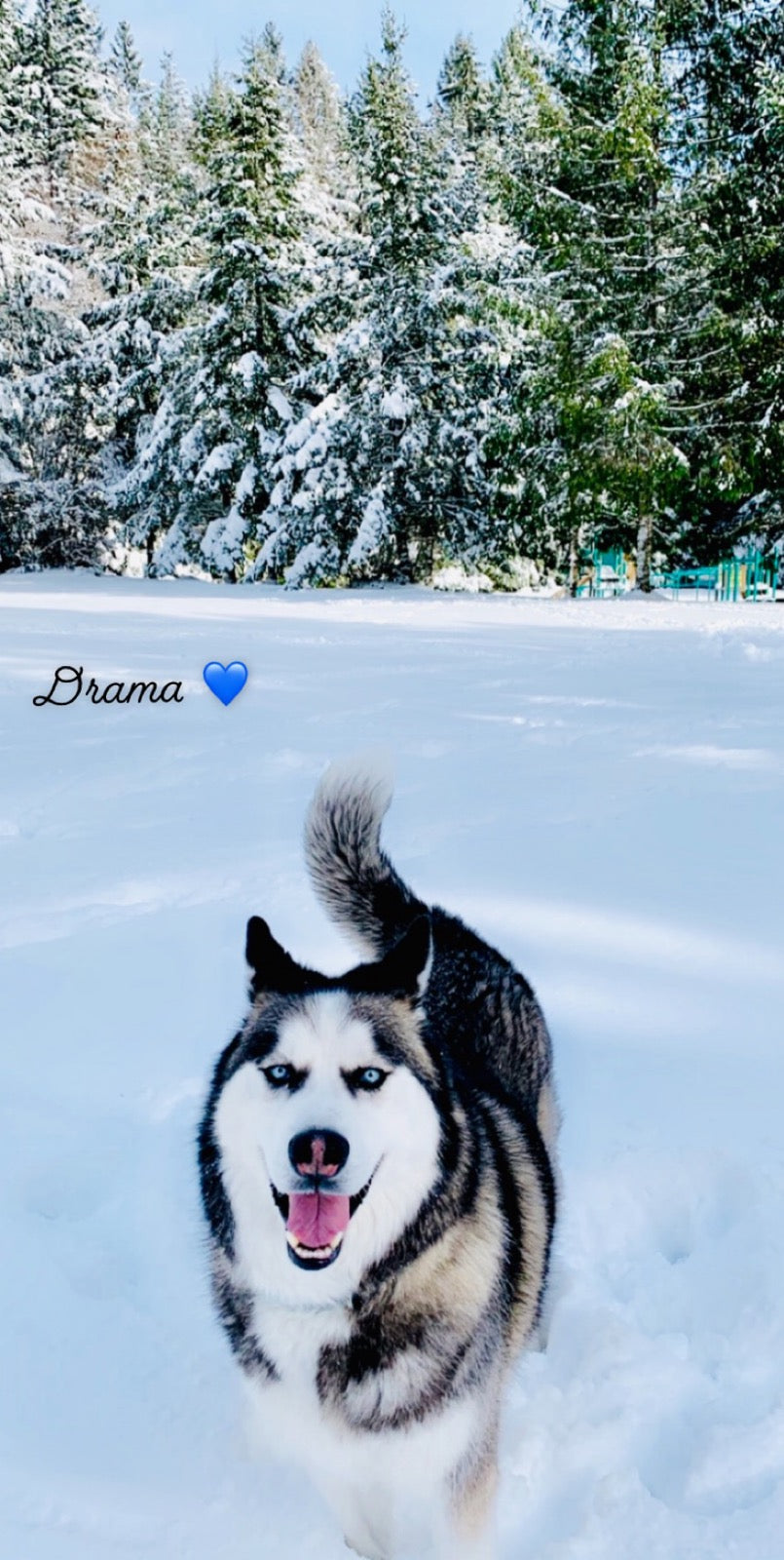 Winter Drama...