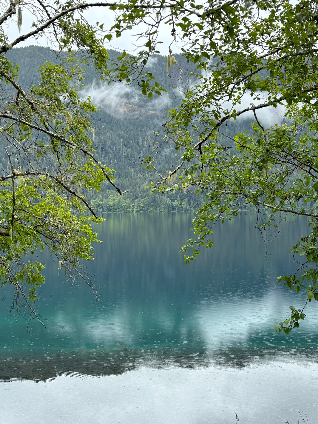 Quiet grey day at Lake Crescent