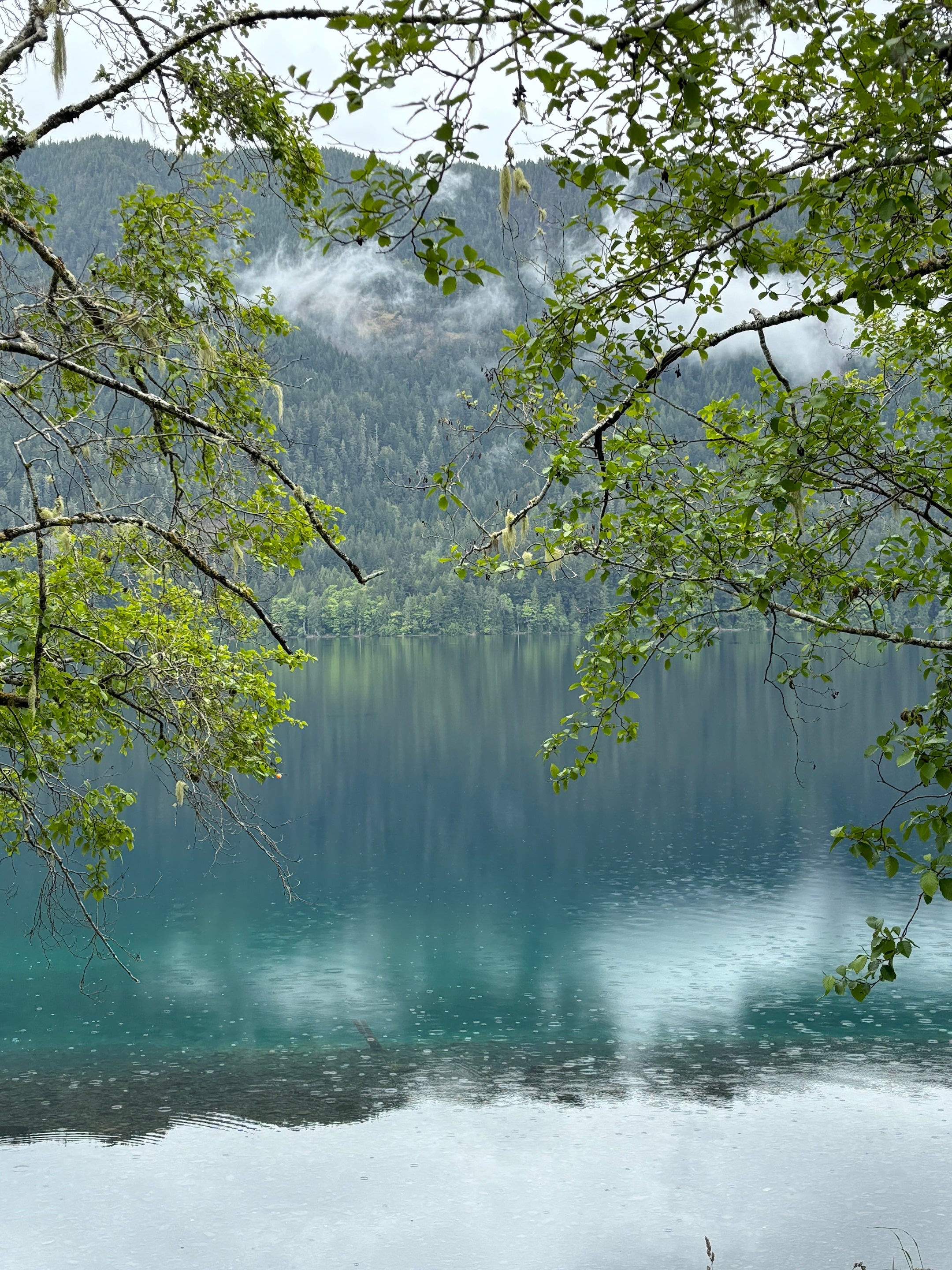 Quiet grey day at Lake Crescent