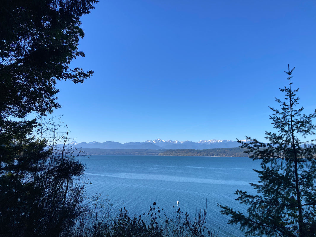 Clear Fall Days