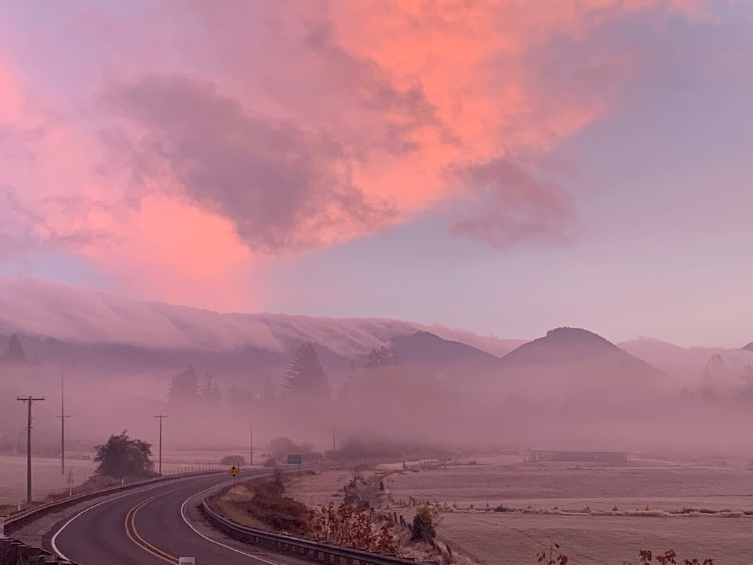Sunrise to Sunset on the Olympic Peninsula