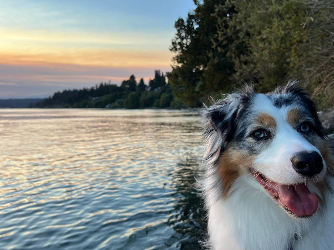 Last days of summer