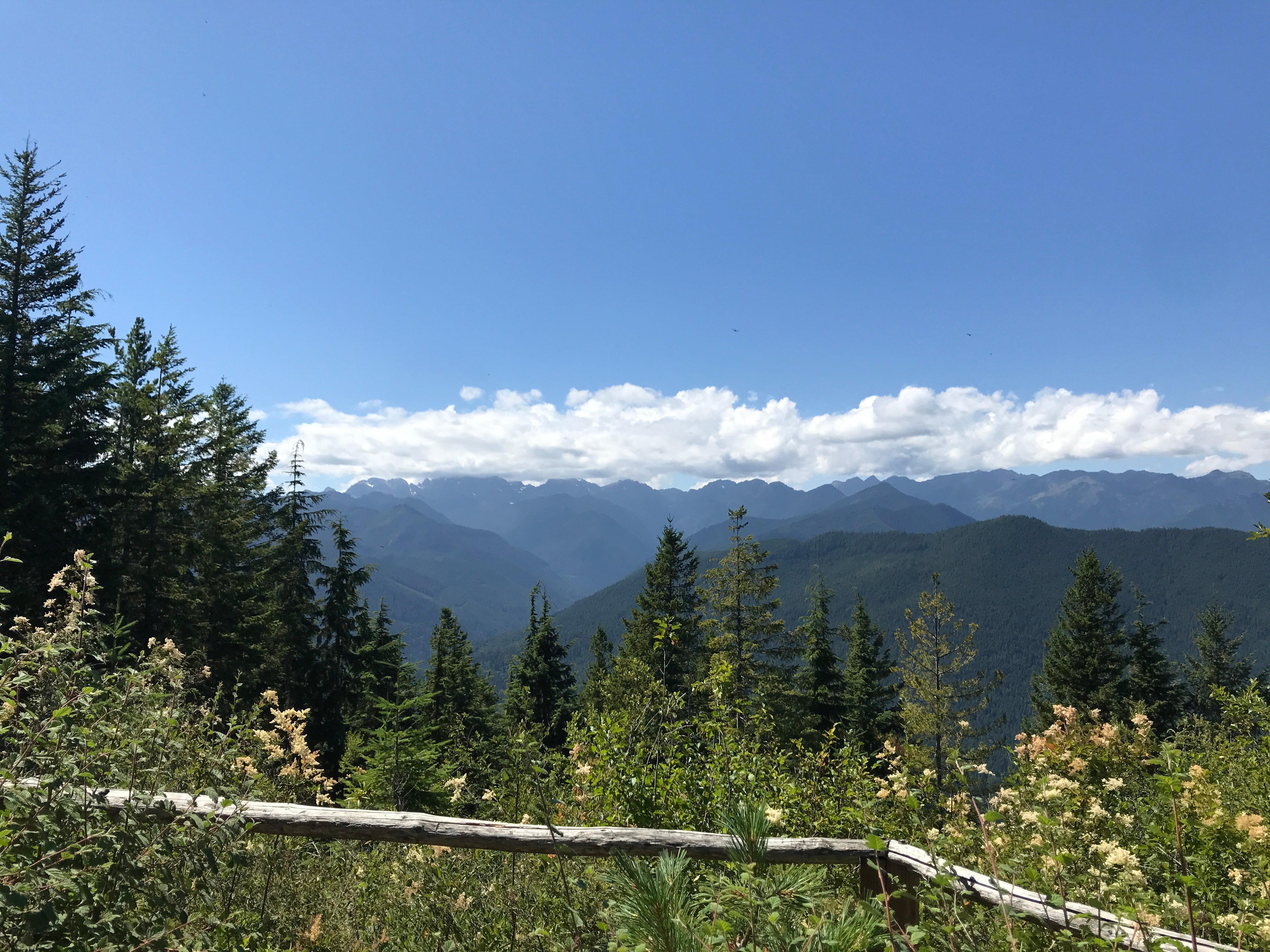 Mt. Walker