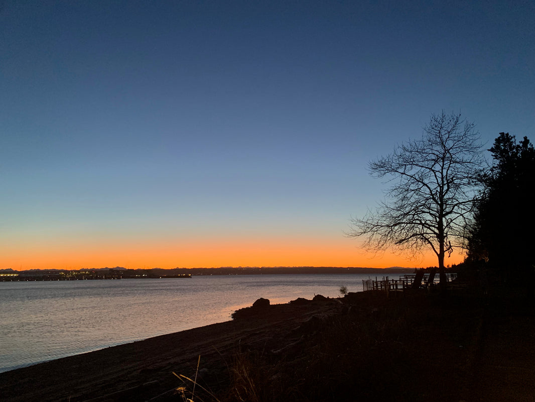 Wintry dawn in Kingston