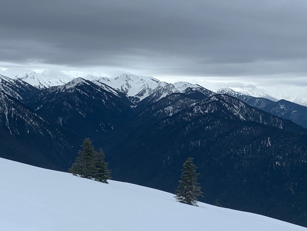 Low clouds