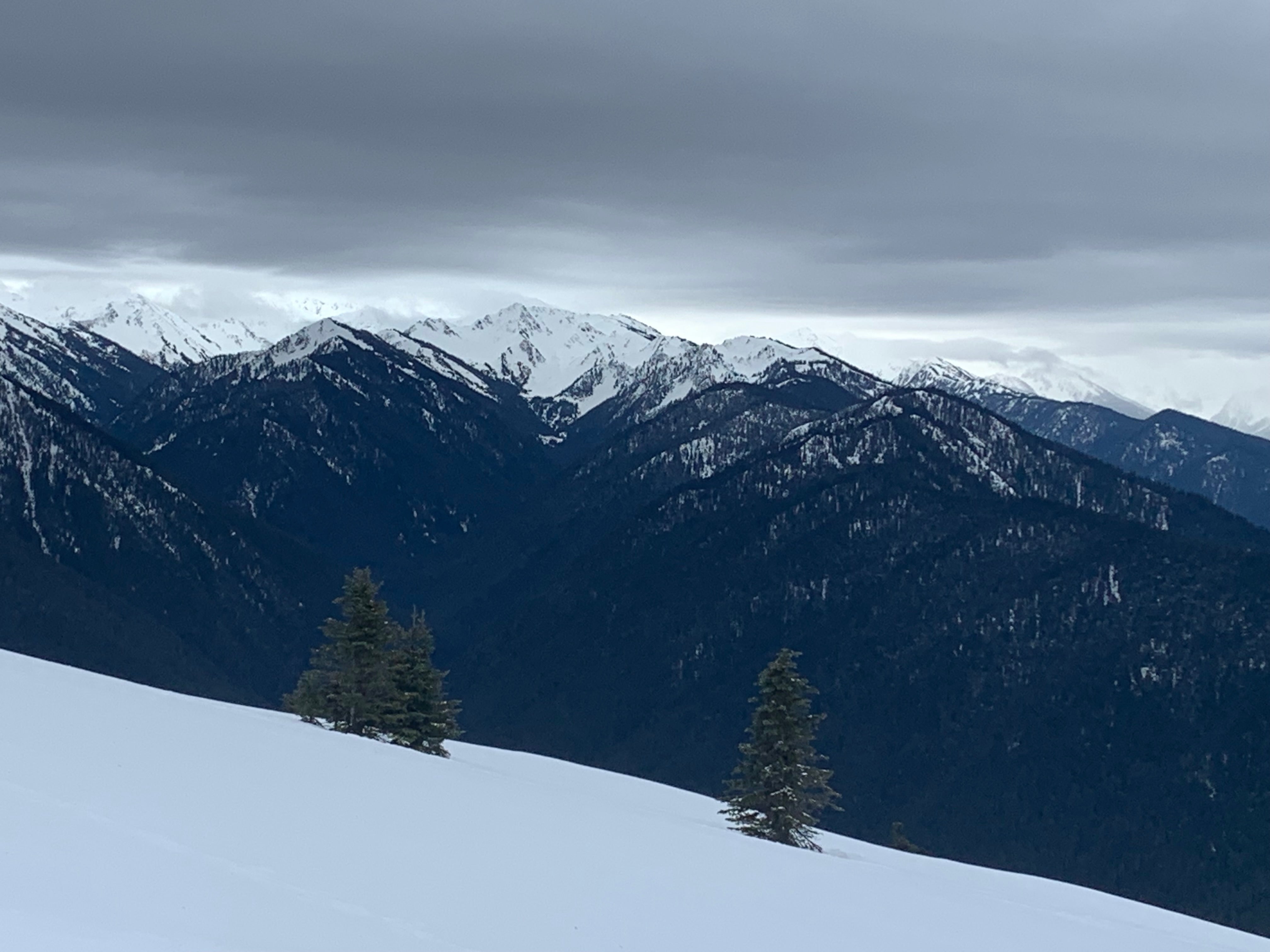 Low clouds