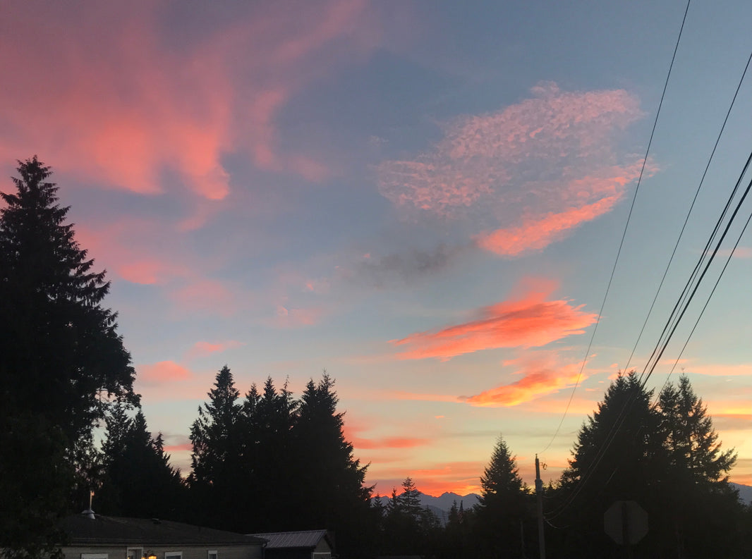 Summer sunset