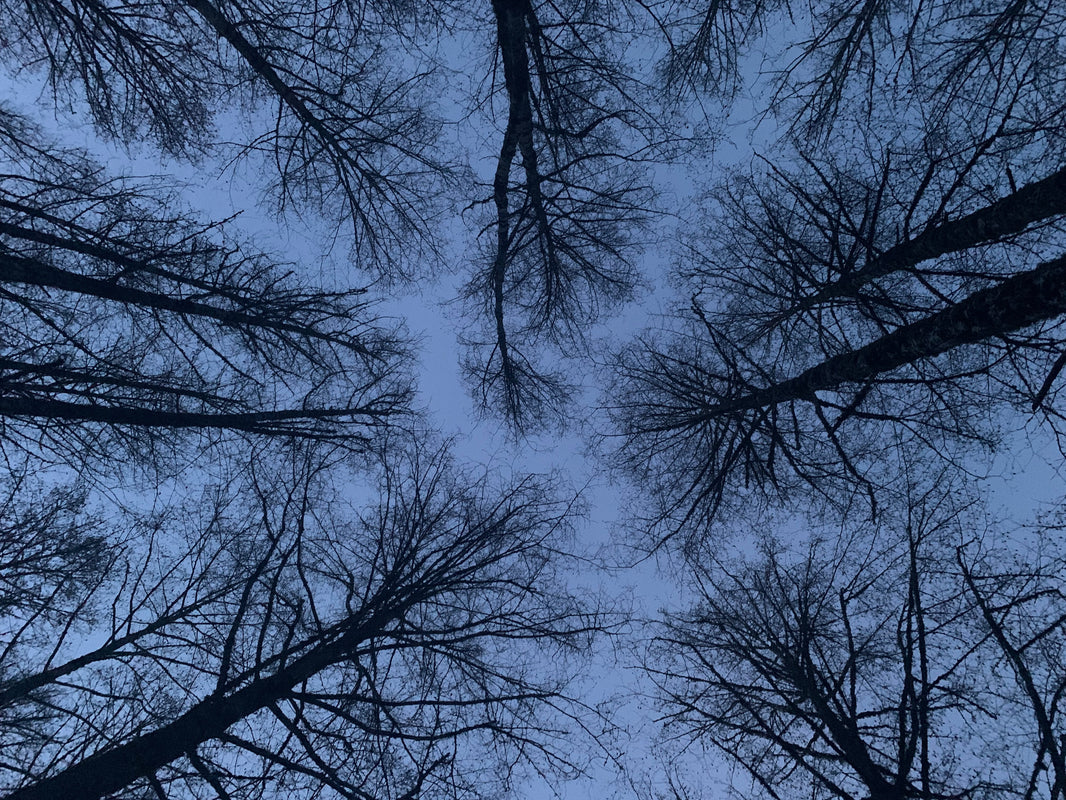 Look up