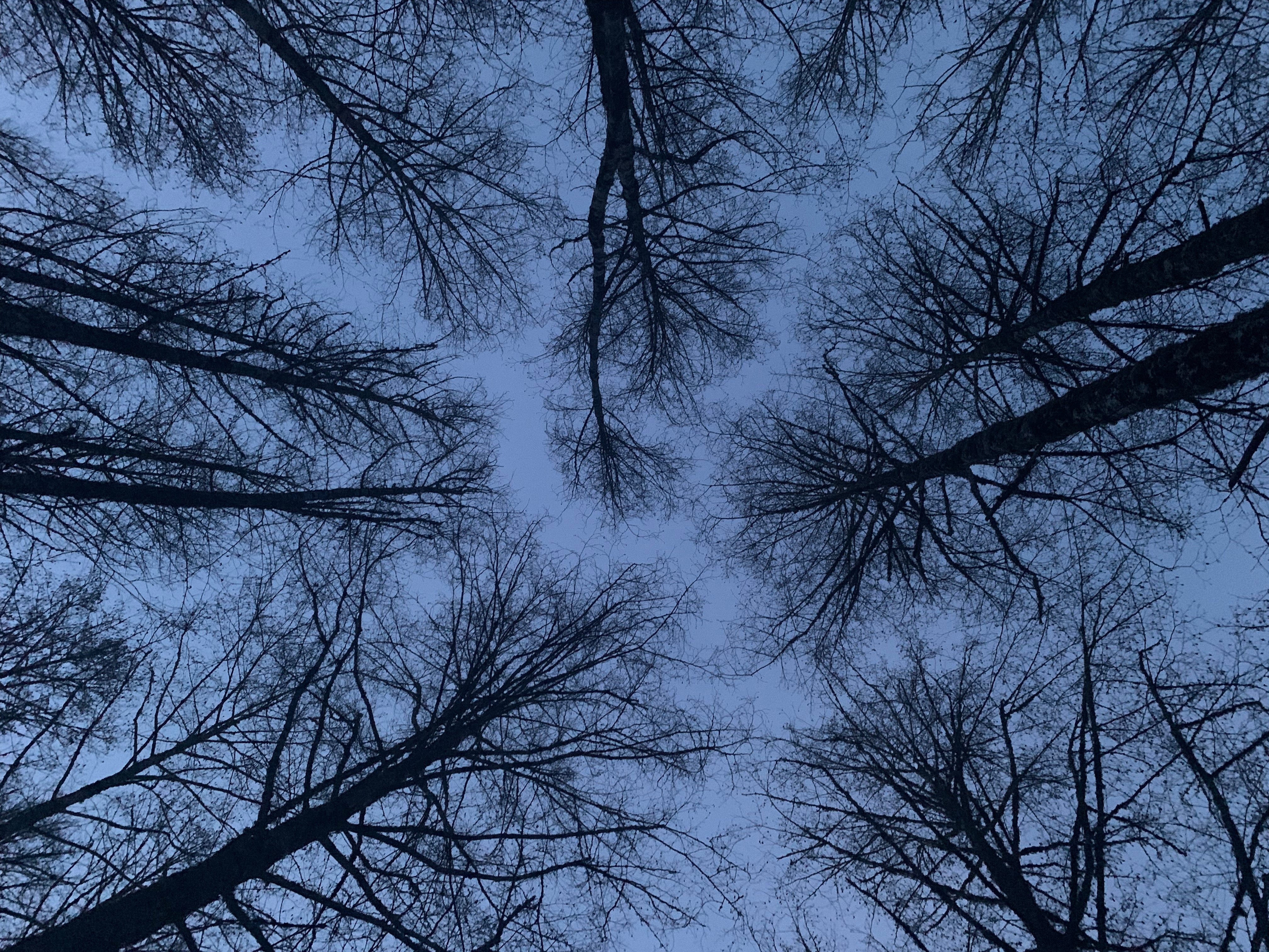 Look up
