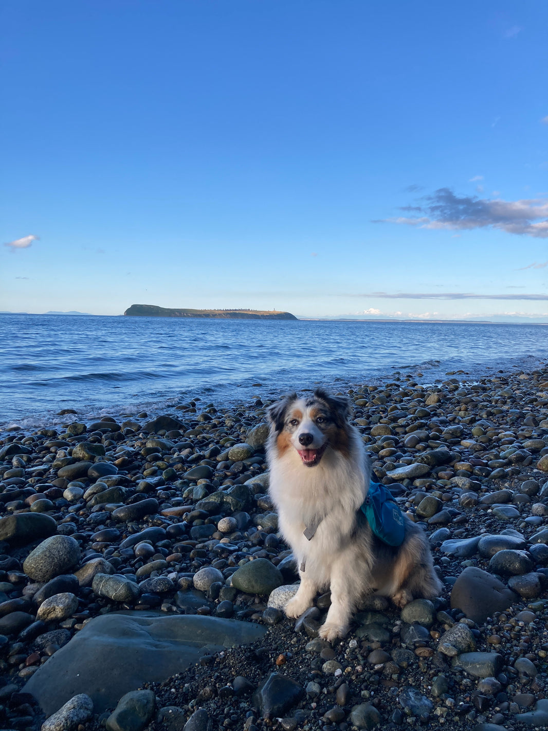 Miller Peninsula (Aidan)