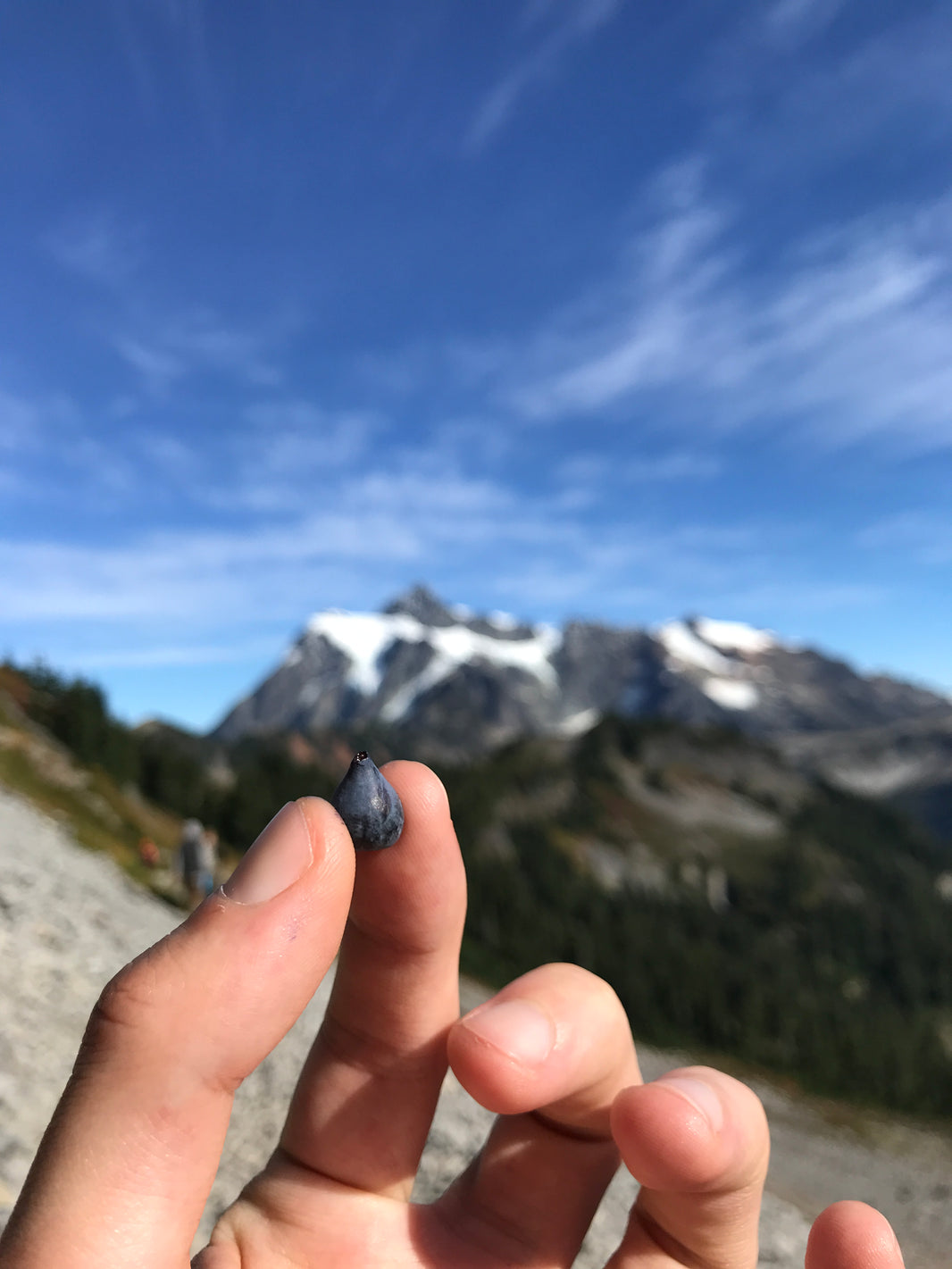 Mt. Baker National Forest