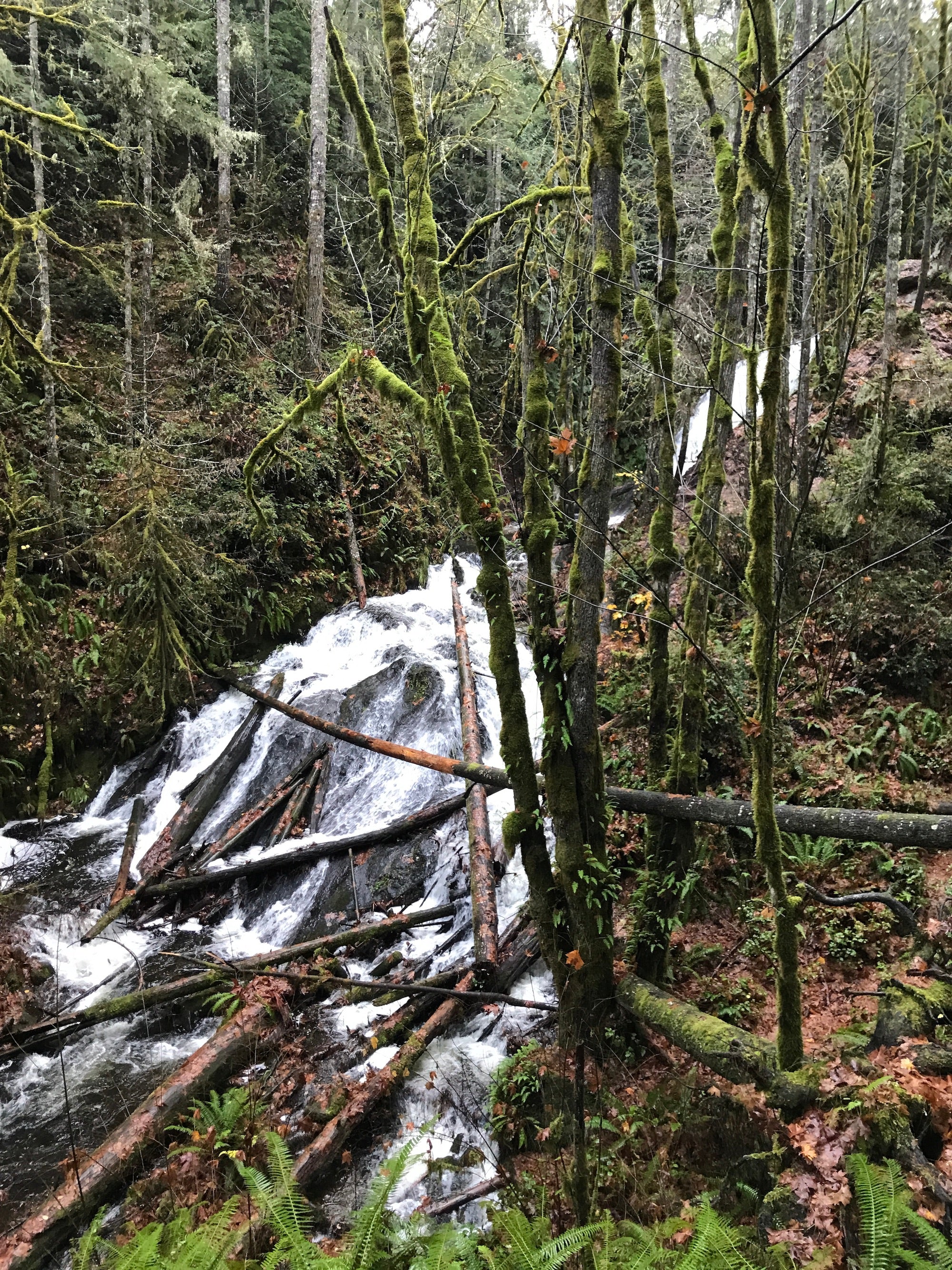 Waterfall hike