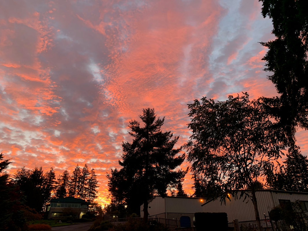 Sunrise