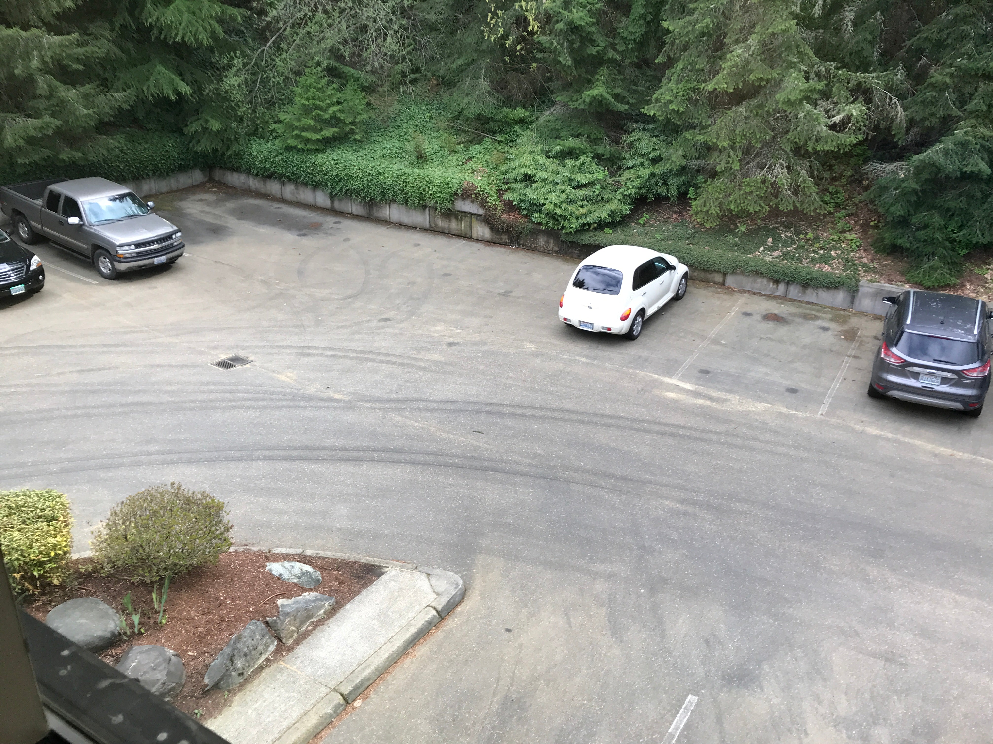 Pollen!