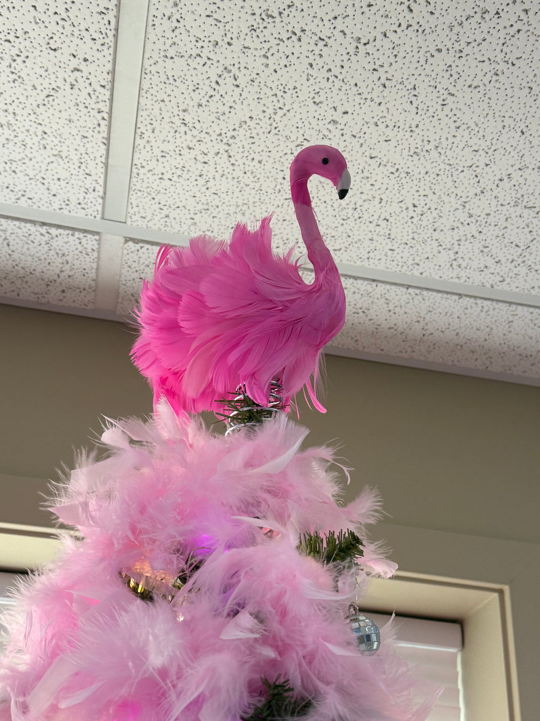 Pink Flamingo August