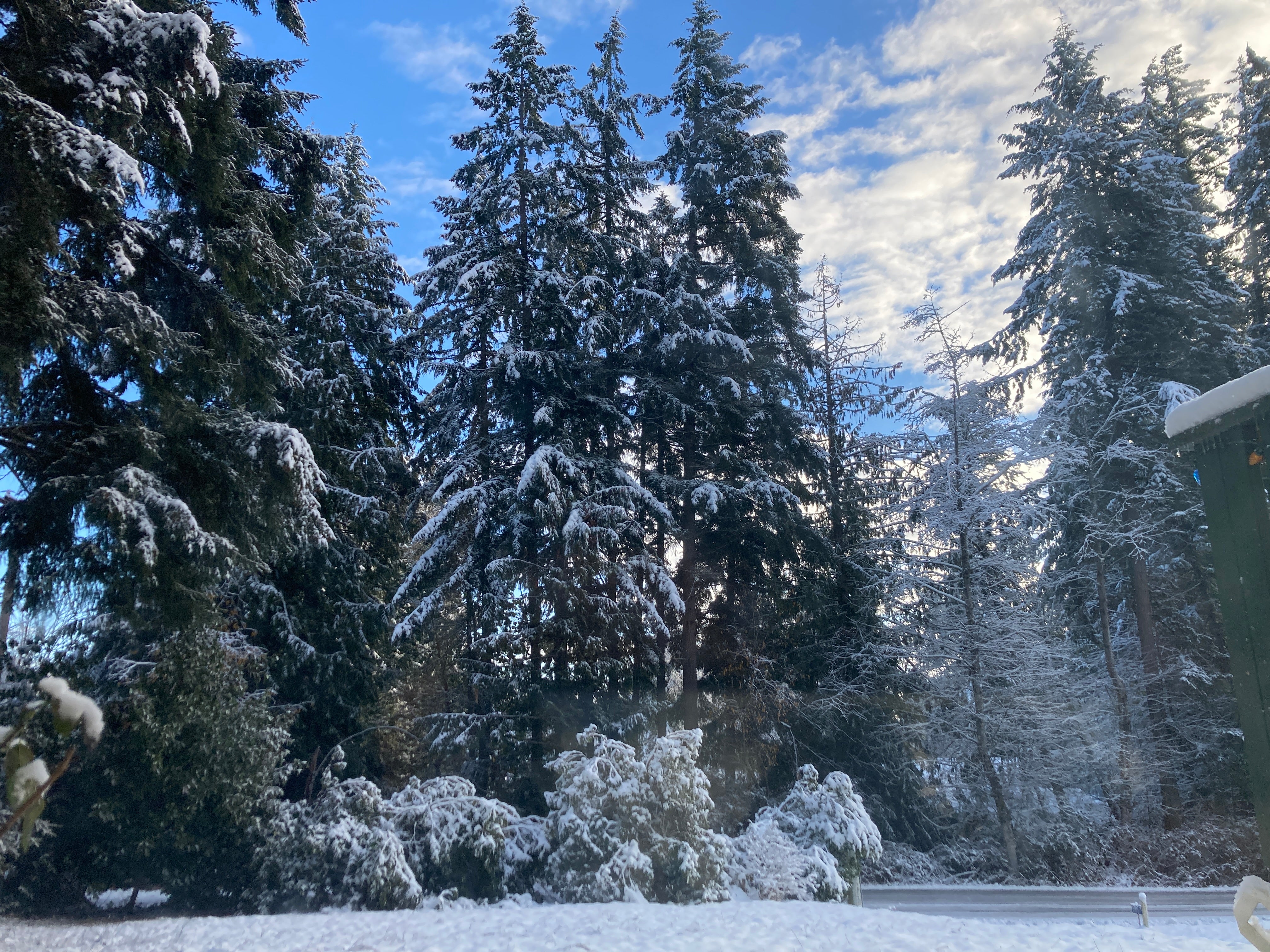 Snow days!