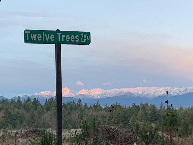 Good morning from Twelve Trees (Rebecca)