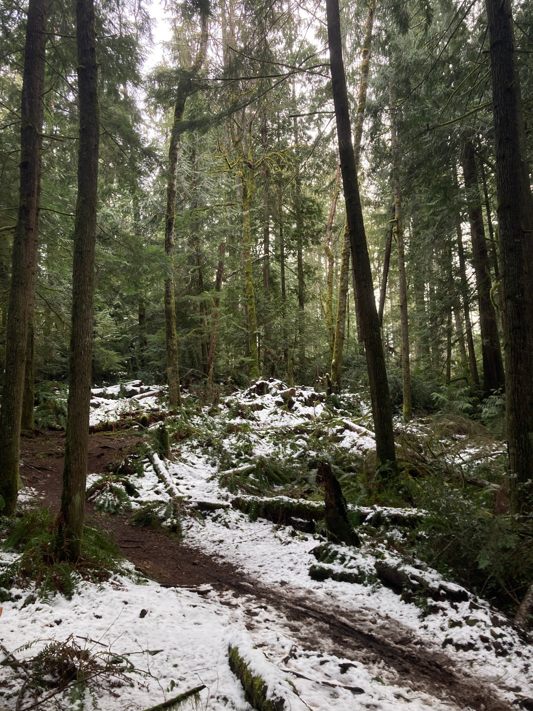 Newberry Hill Heritage Park