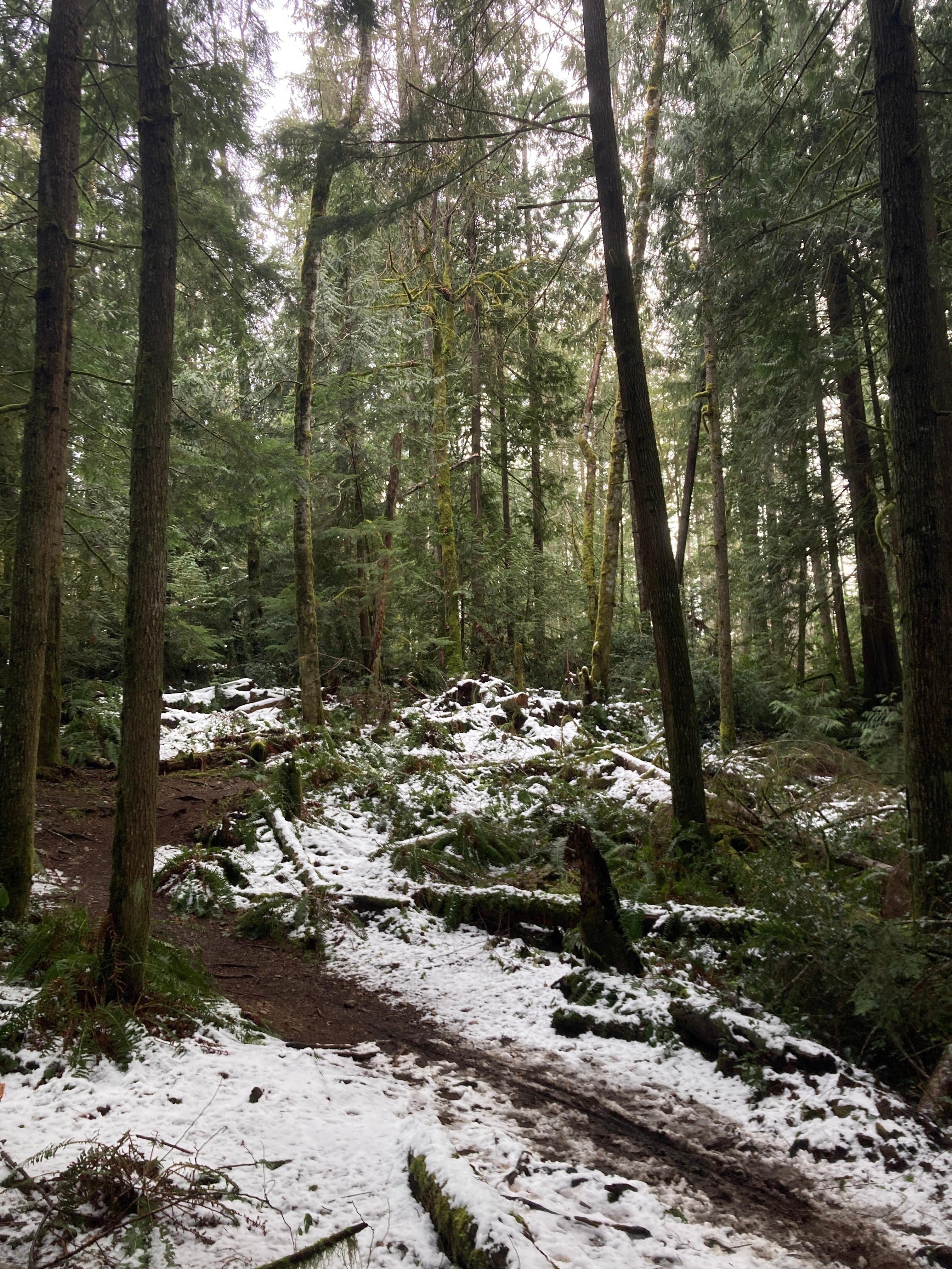 Newberry Hill Heritage Park