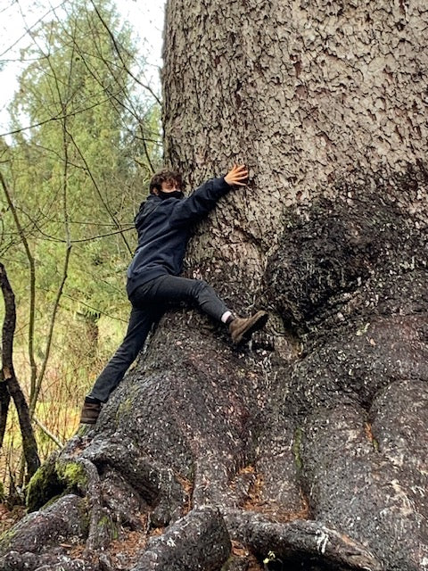 Tree hugger