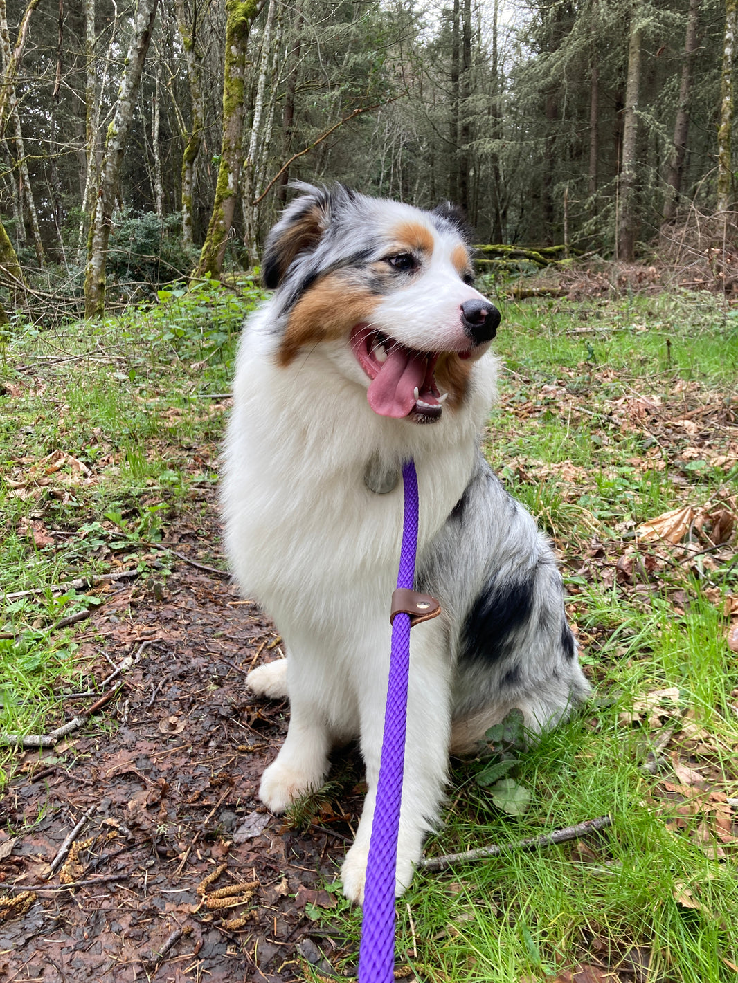 Adventures with Aura