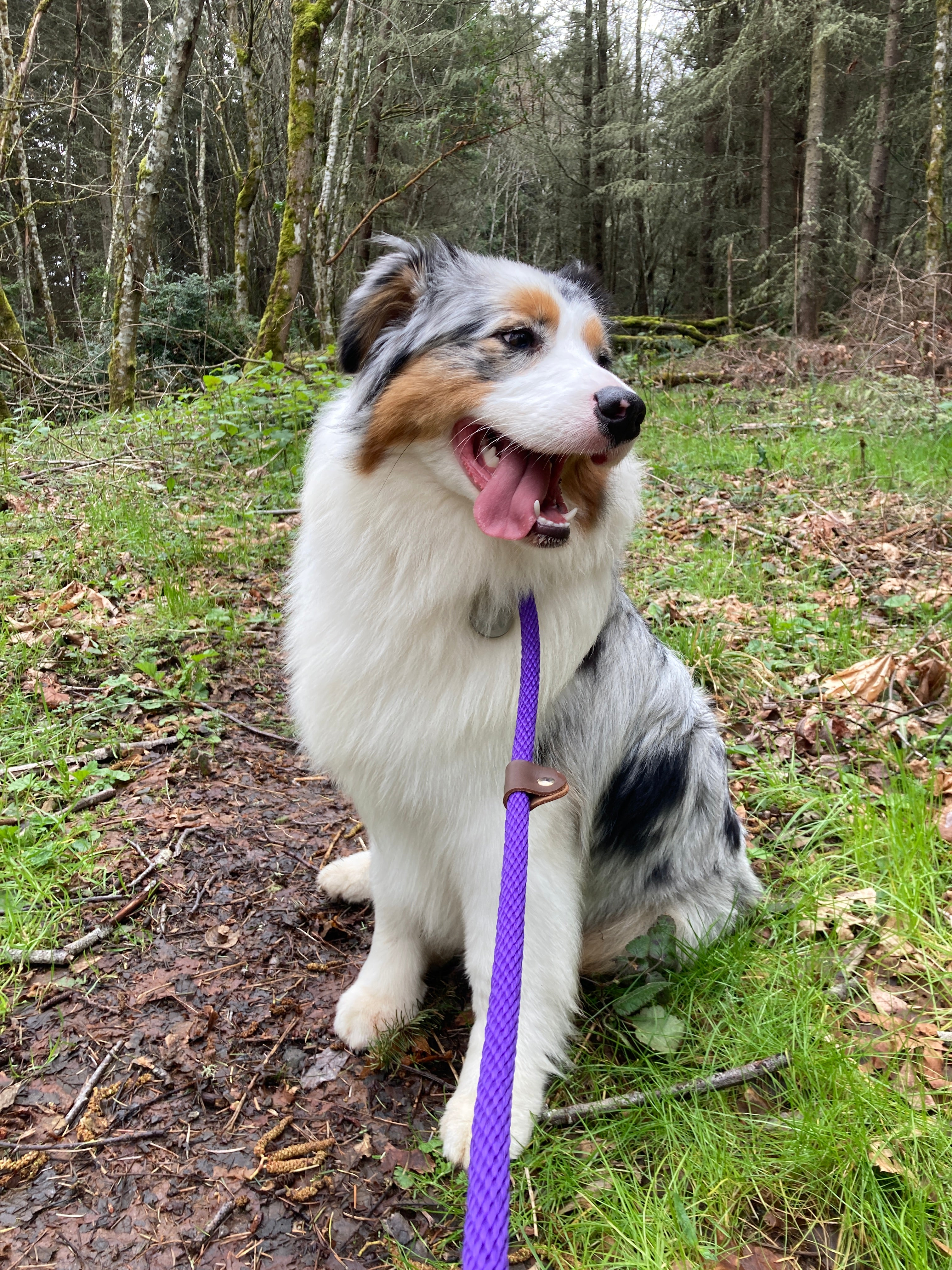 Adventures with Aura