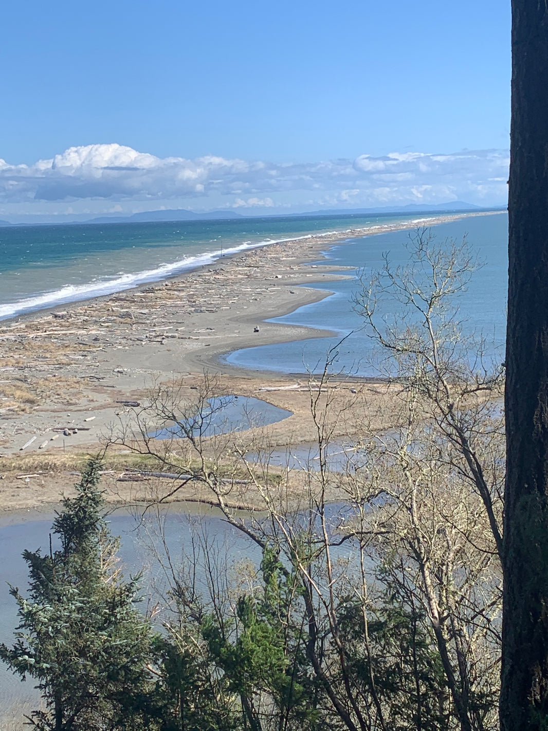 Dungeness Spit