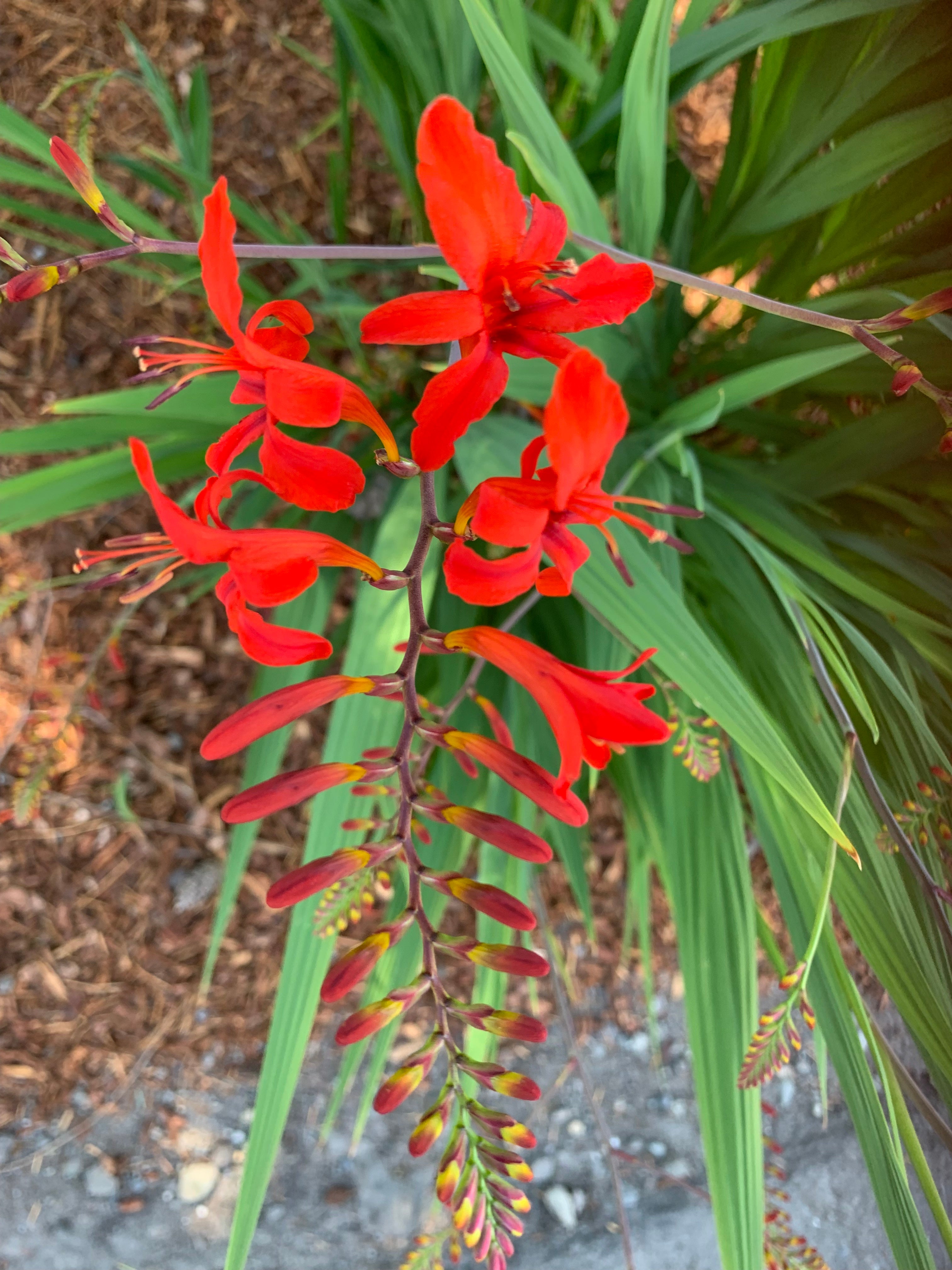Spots of color around the office