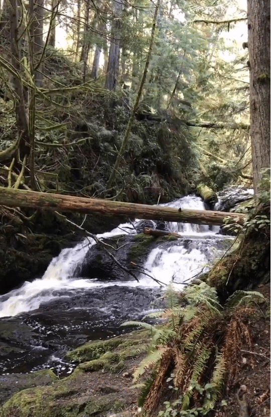 Ludlow falls