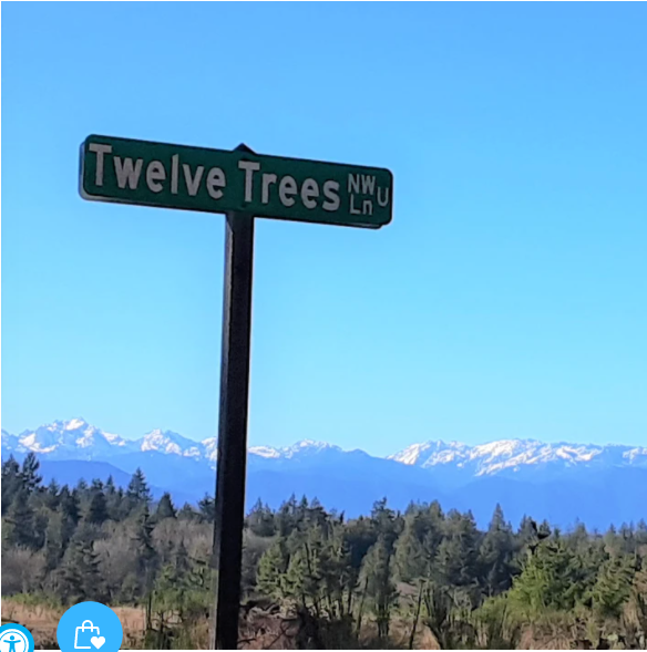 Midday at Twelve Trees (Leah)